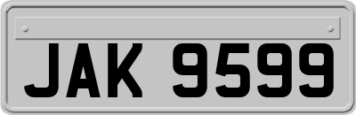 JAK9599