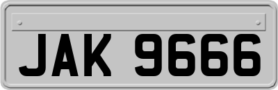 JAK9666