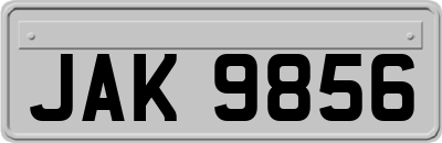 JAK9856
