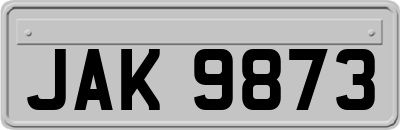 JAK9873