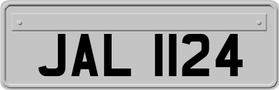 JAL1124
