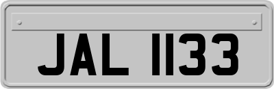 JAL1133