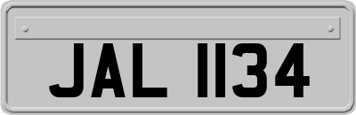 JAL1134