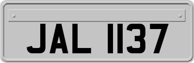 JAL1137