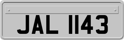 JAL1143