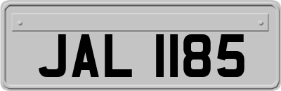 JAL1185