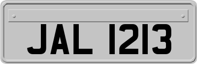 JAL1213