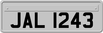 JAL1243