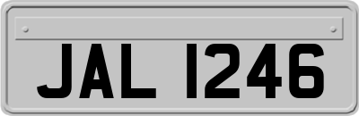 JAL1246