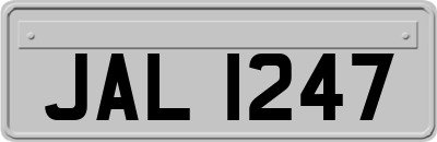 JAL1247