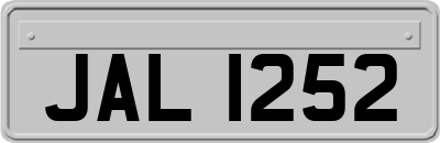 JAL1252