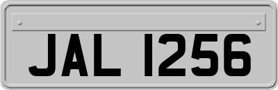 JAL1256