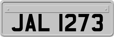 JAL1273