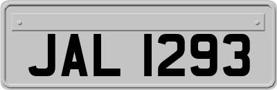 JAL1293