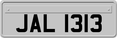 JAL1313
