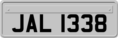 JAL1338