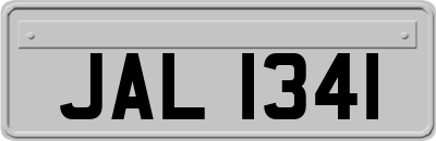 JAL1341
