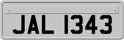 JAL1343