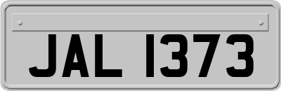 JAL1373