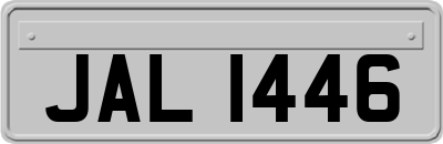 JAL1446