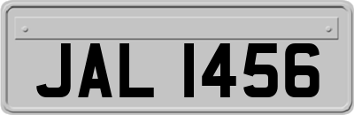 JAL1456