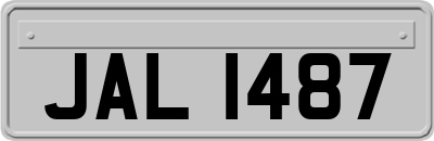JAL1487