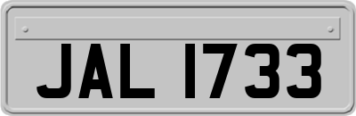 JAL1733