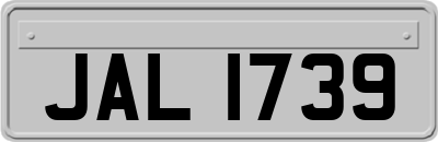 JAL1739