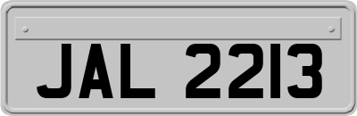 JAL2213