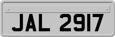 JAL2917