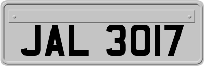 JAL3017