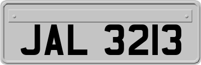 JAL3213