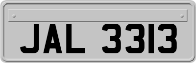 JAL3313