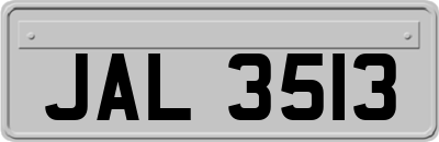 JAL3513