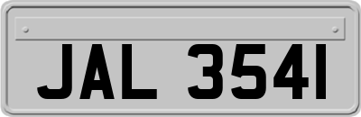 JAL3541
