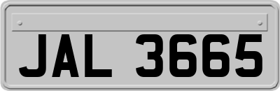 JAL3665