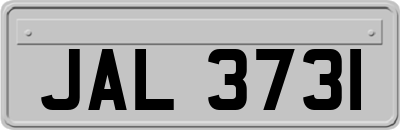 JAL3731