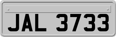 JAL3733