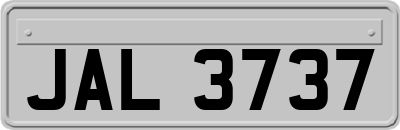 JAL3737