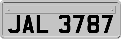 JAL3787