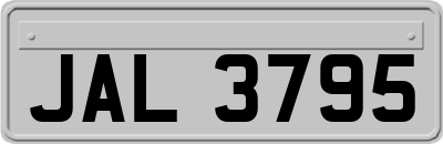 JAL3795