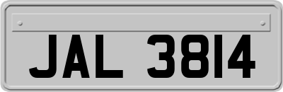 JAL3814