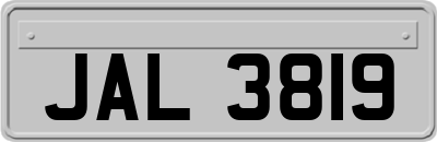 JAL3819