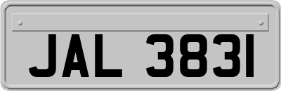 JAL3831