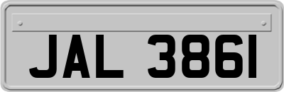 JAL3861