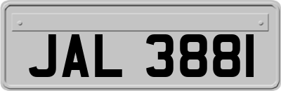 JAL3881