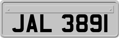 JAL3891