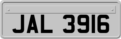 JAL3916