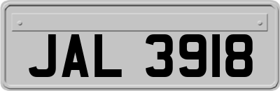 JAL3918