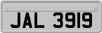 JAL3919